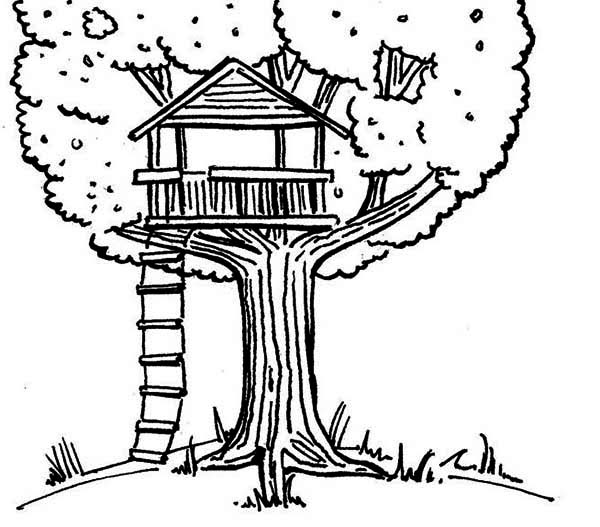 Casa del árbol #21830