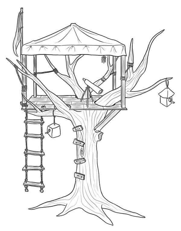 Casa del árbol #21835