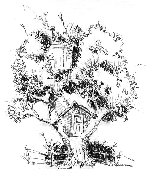 Casa del árbol #21842