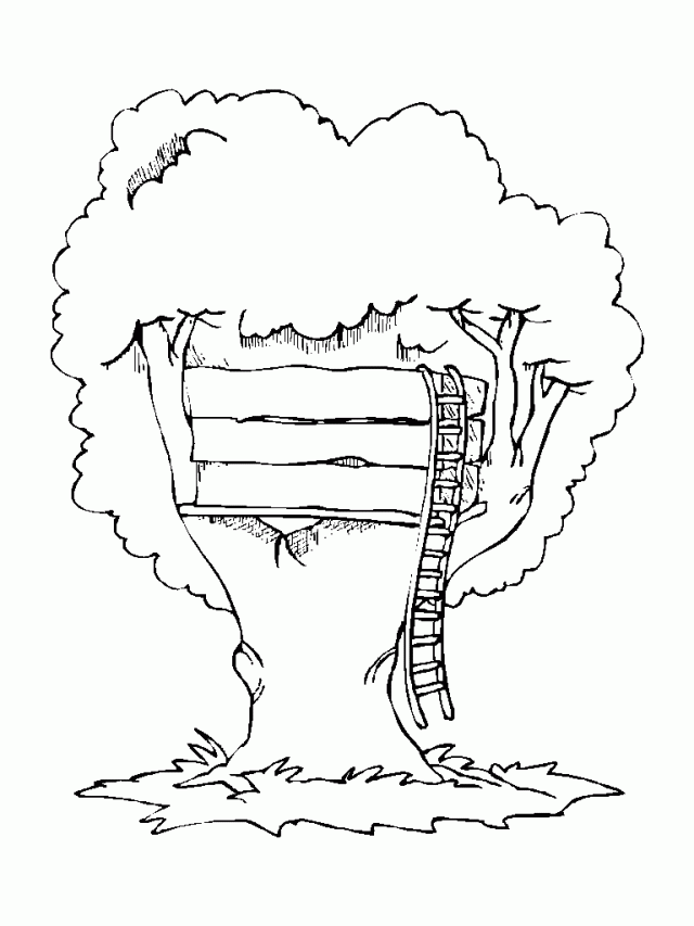 Casa del árbol #21854