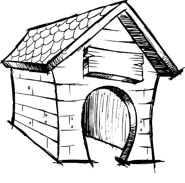 Caseta del perro #21857
