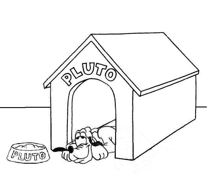 Caseta del perro #21865