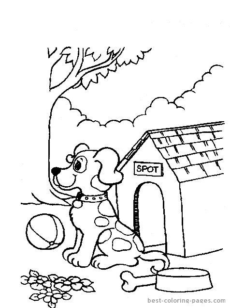 Caseta del perro #21872