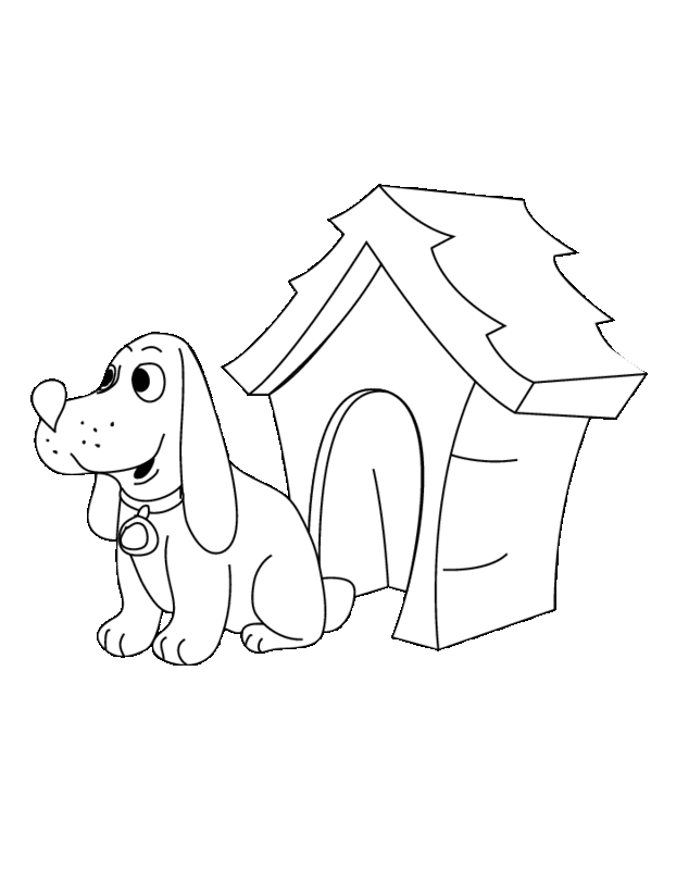 Caseta del perro #21887