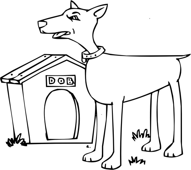 Caseta del perro #21891