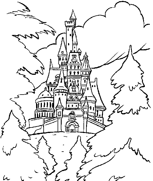 Castillo #21911