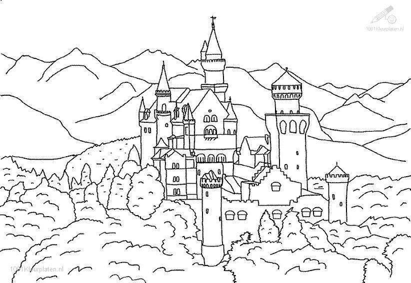 Castillo #21980