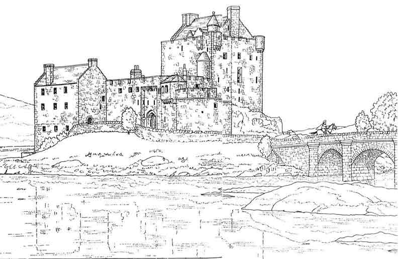 Castillo #21981
