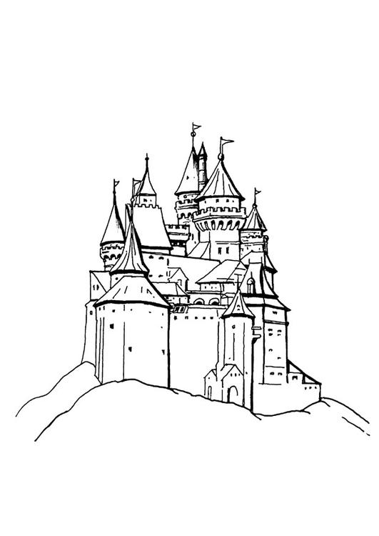 Castillo #21986