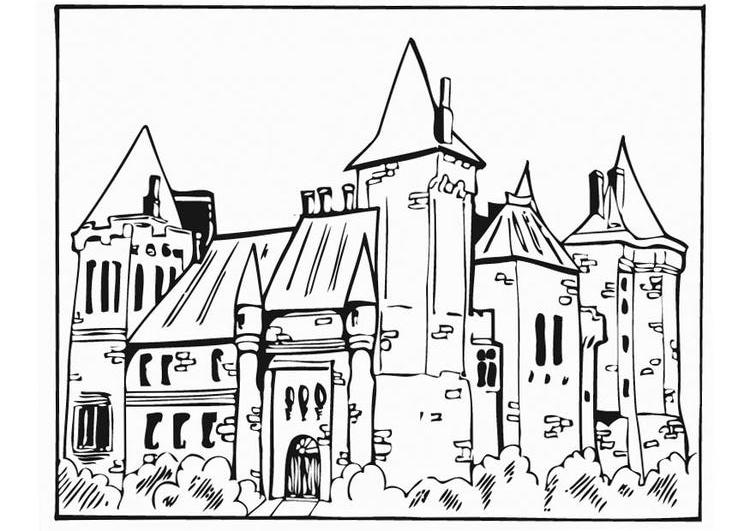 Castillo #21994