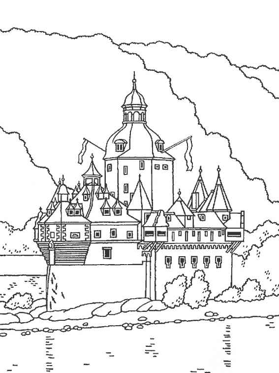 Castillo #21996