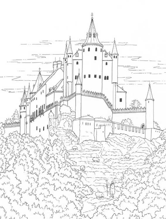 Castillo #22023
