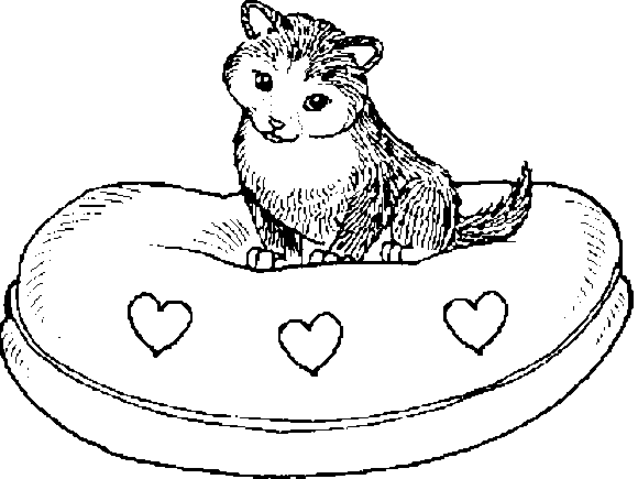 Día de San Valentín #24693