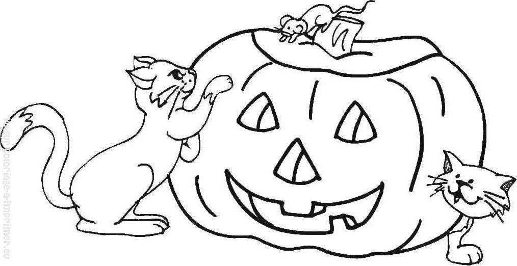 Halloween #24910