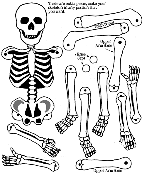 Halloween #24944