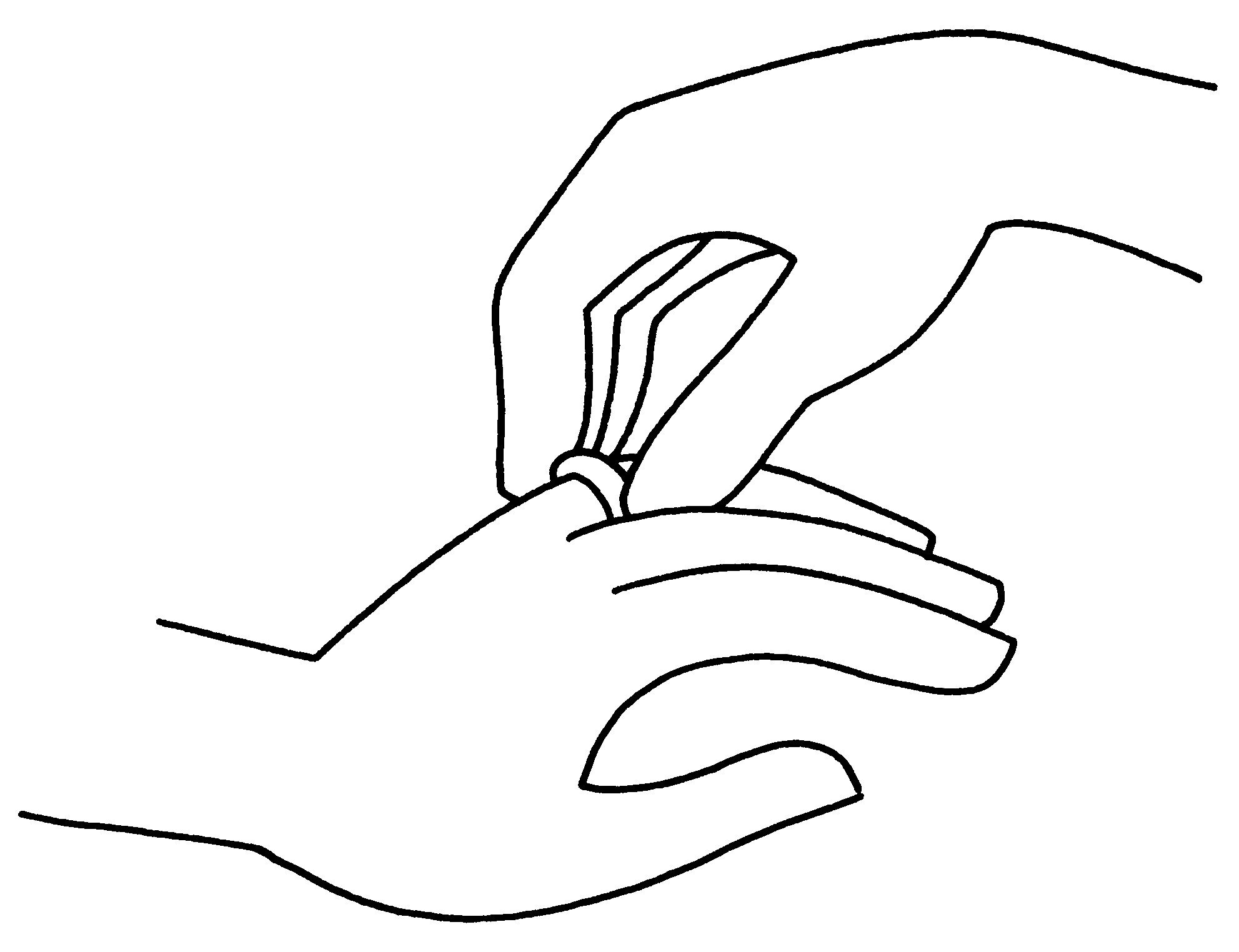 Matrimonio #25344