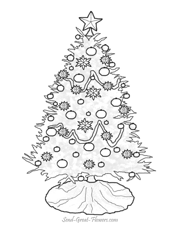 Navidad #25771