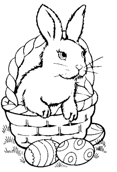 Pascua #25794