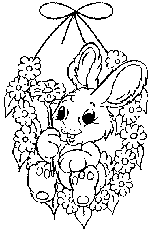 Pascua #25884