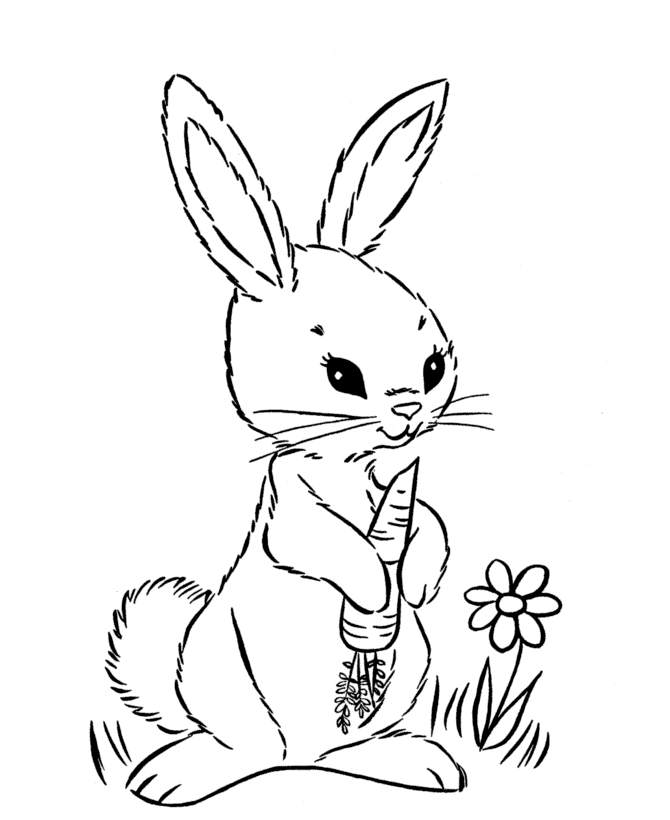 Pascua #25909