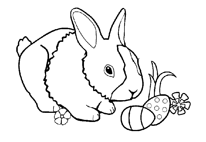 Pascua #25920