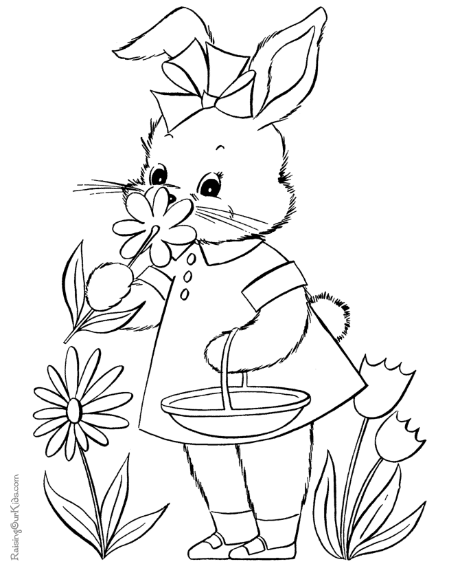 Pascua #25954