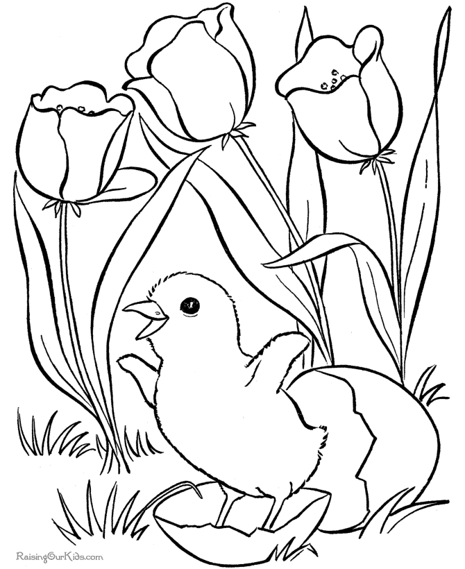 Pascua #25956
