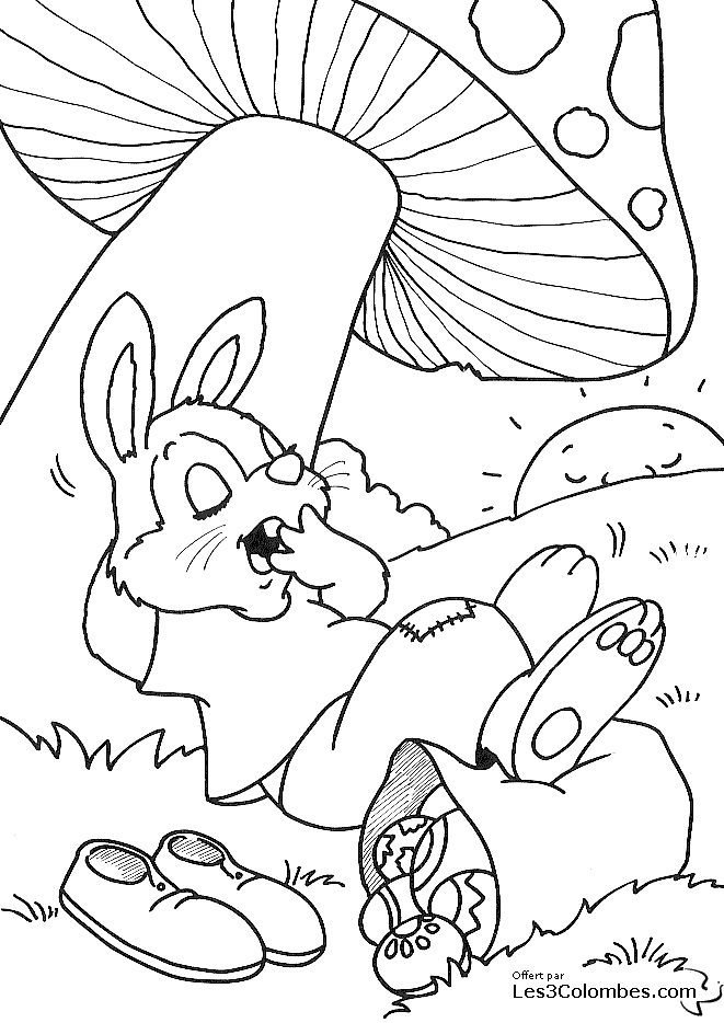 Pascua #25969