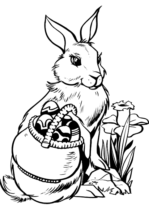 Pascua #25973