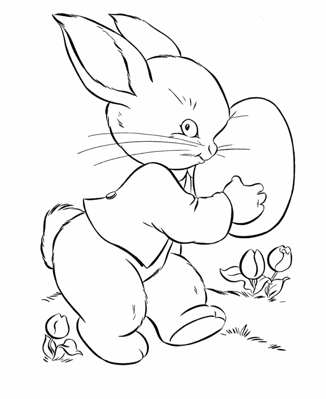 Pascua #25984