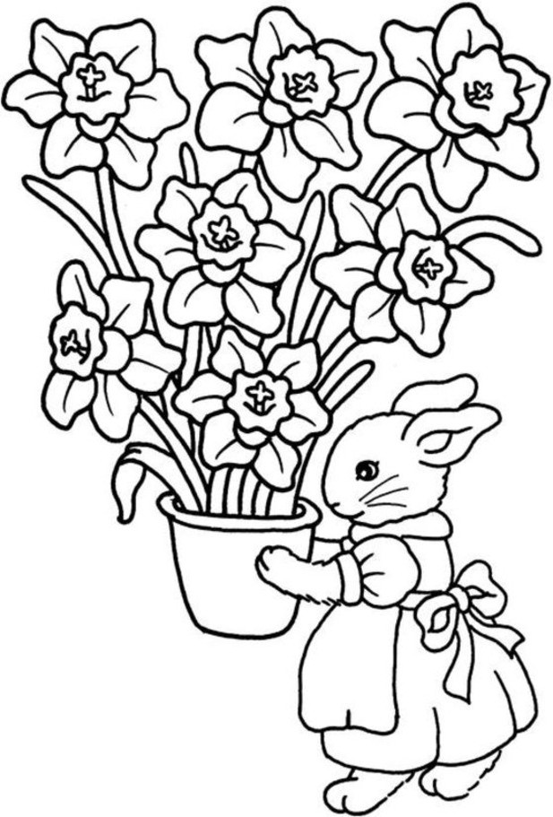 Pascua #25992
