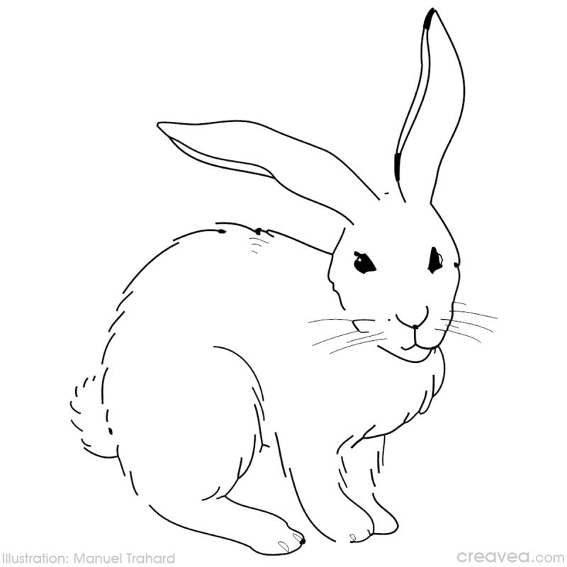 Pascua #26044