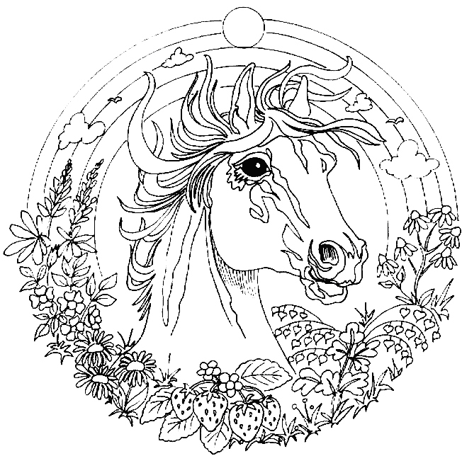 Mandalas Animales #26223