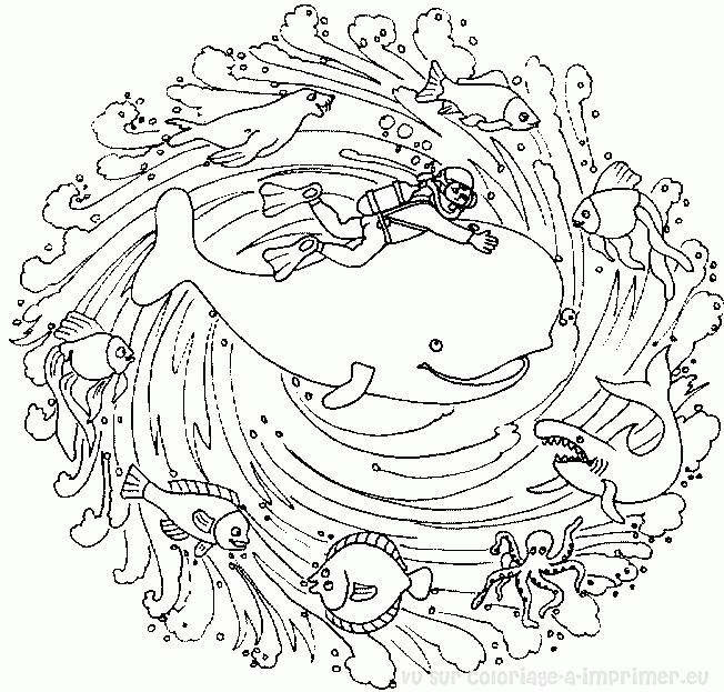 Mandalas Animales #26266