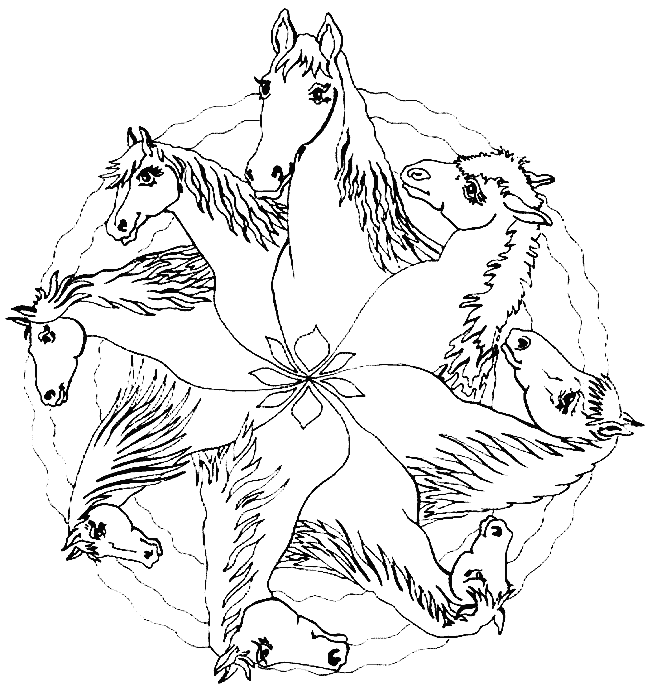 Mandalas Animales #26285