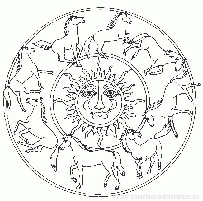 Mandalas Animales #26292