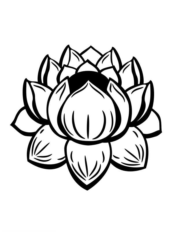 Mandalas Flores #26400