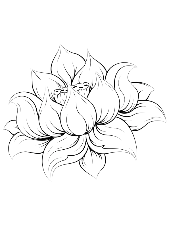 Mandalas Flores #26422