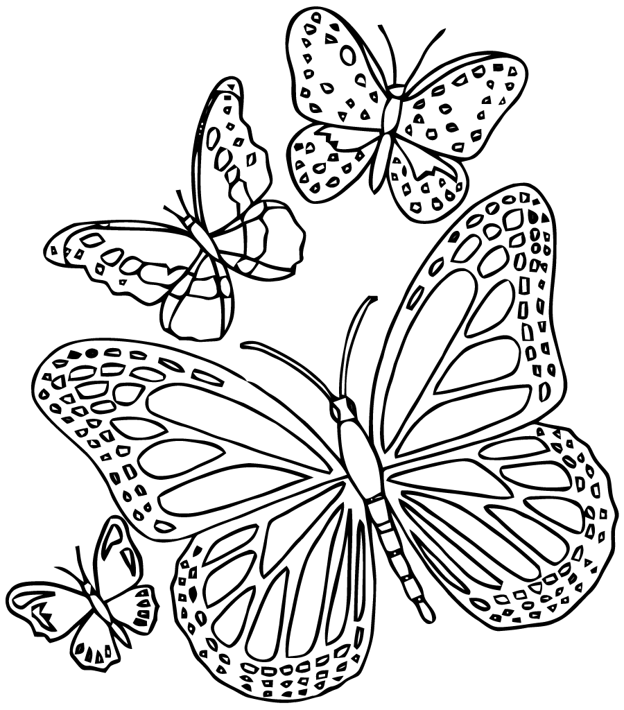 Mandalas Mariposa #26462