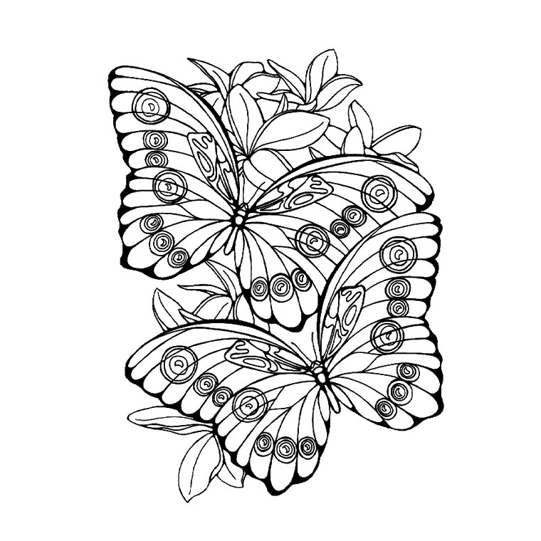 Mandalas Mariposa #26466