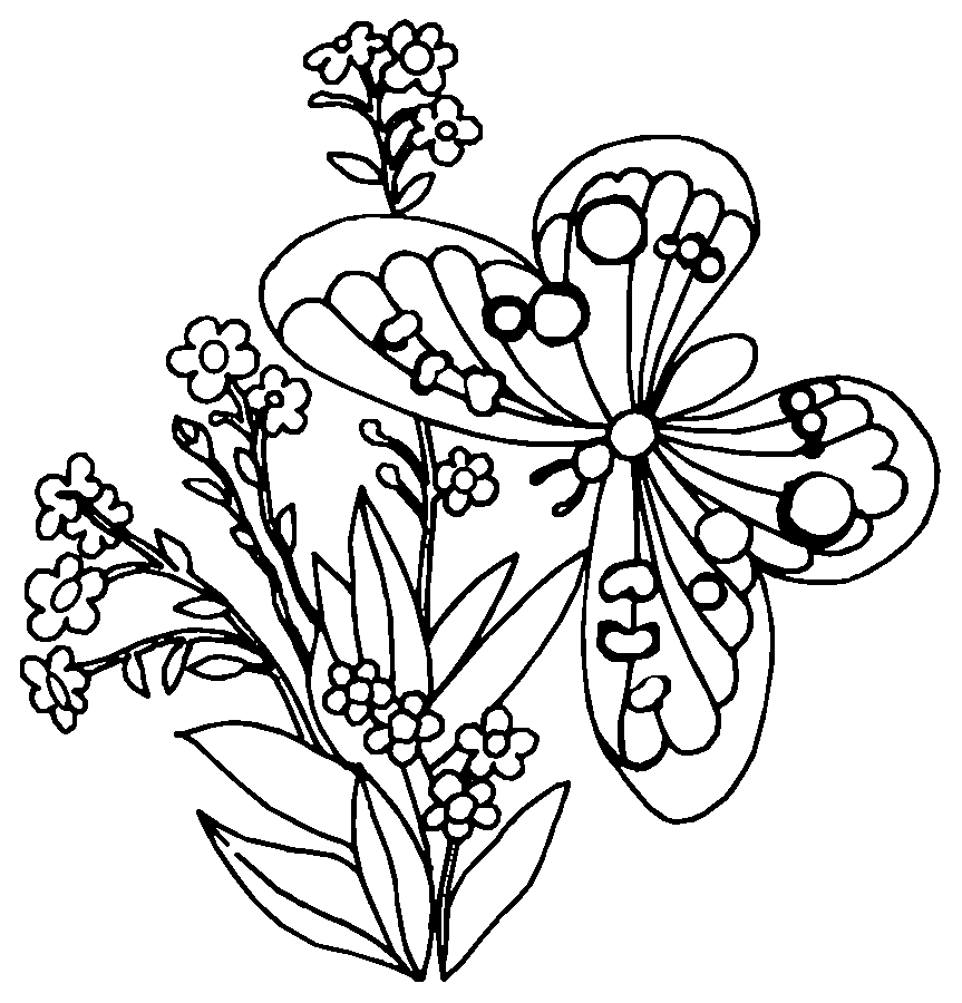 Mandalas Mariposa #26468