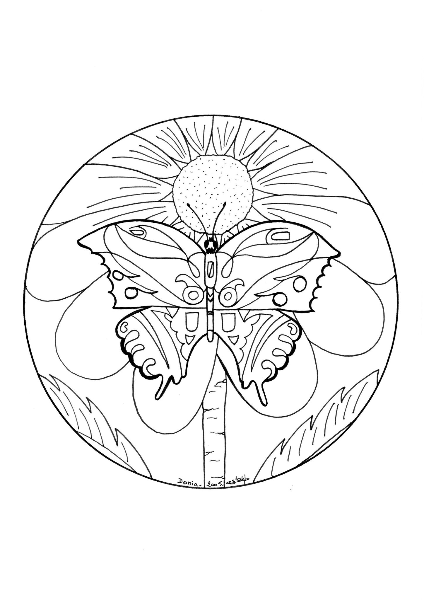Mandalas Mariposa #26473