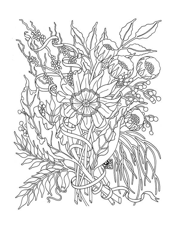 Amapola #26902