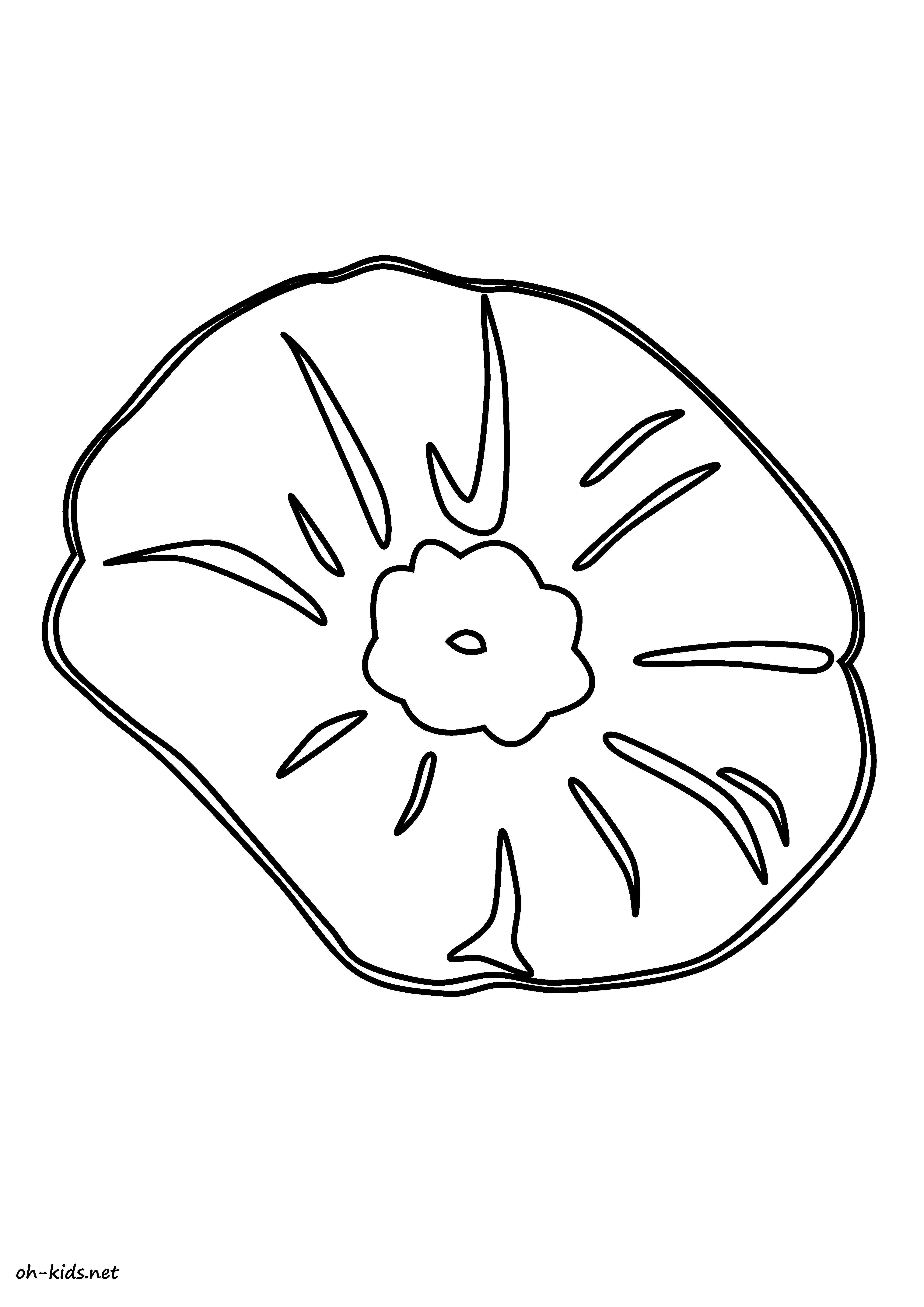 Amapola #26907