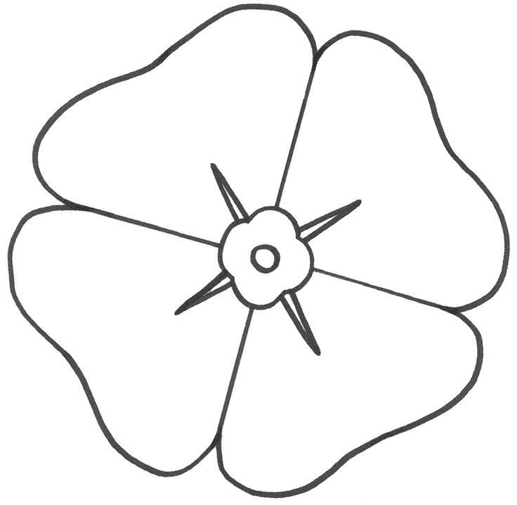 Amapola #26909