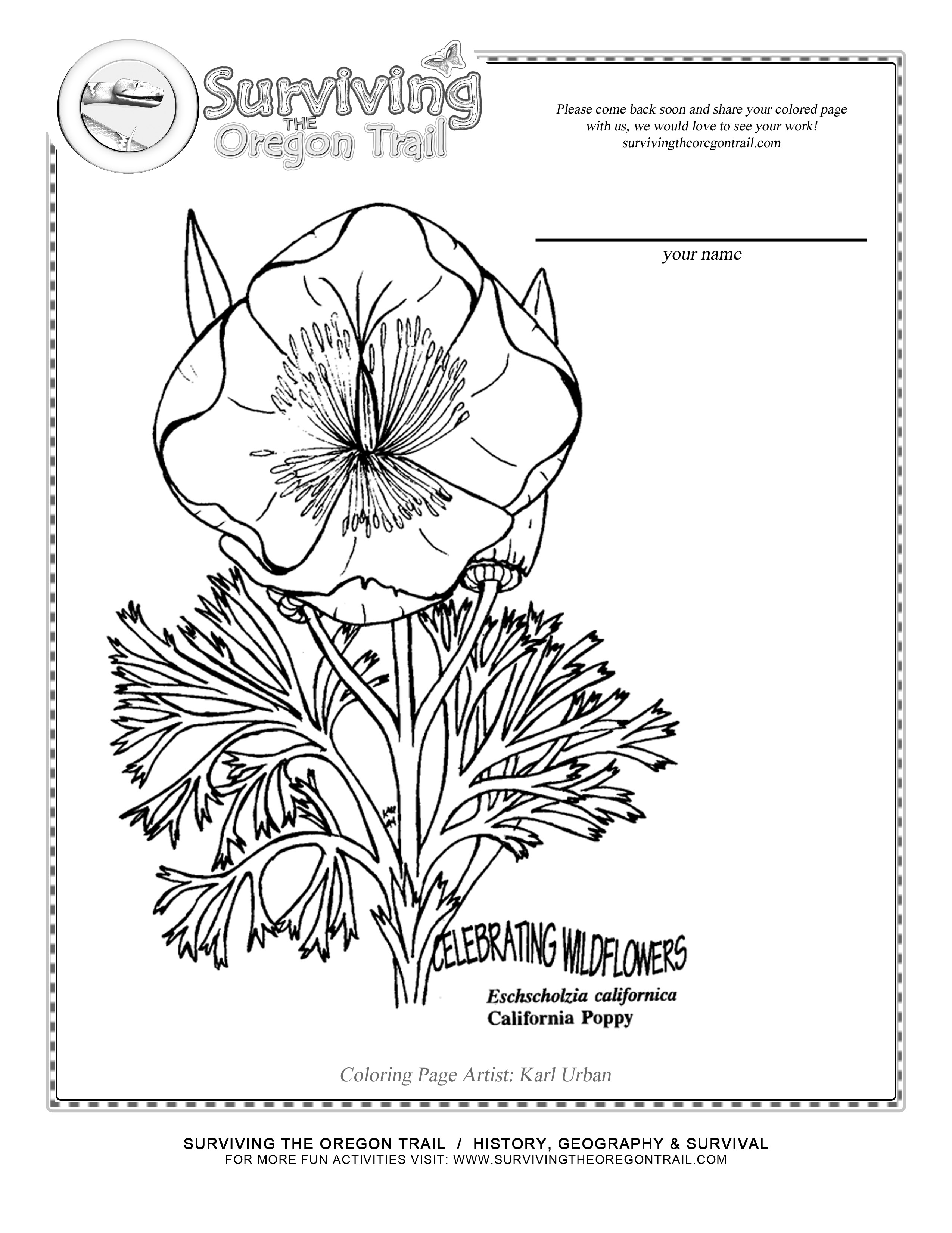 Amapola #26934