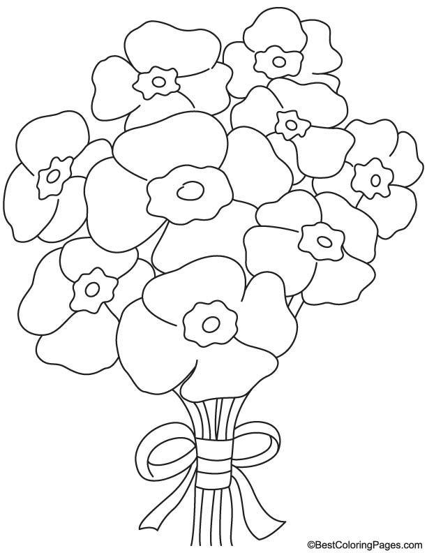 Amapola #26940