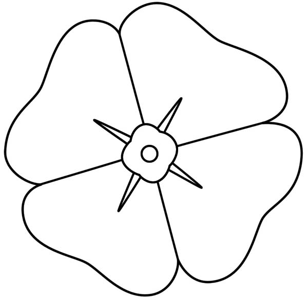 Amapola #26887