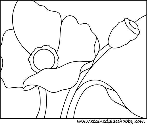Amapola #26953