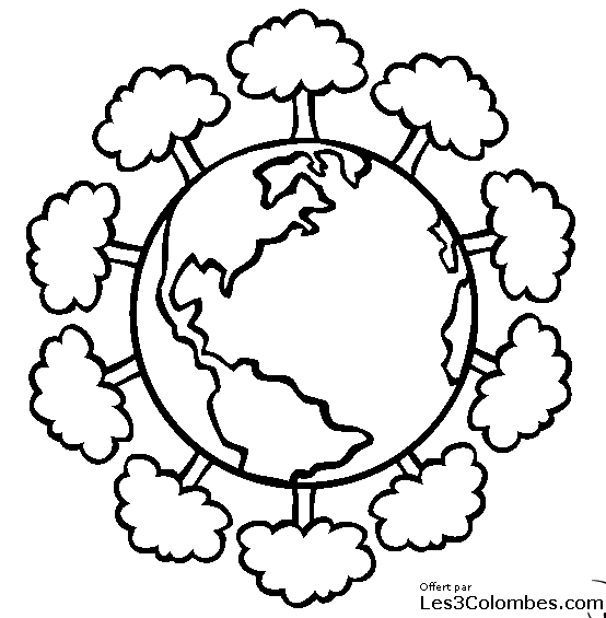 Árbol #26984